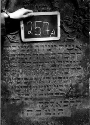 Grabstein 257 (Index: 100112098) Material: Sandstein Zustand: gebrochen und repariert mit Textverlust, sonst gut Maße HxBxT: 186x74x12 cm Beschreibung: Stele, getreppter Sockel, eingezogener Segmentbogenabschluß mit Eckakroteren Symbolik: Kranz, Ranken: Grabstein 257A