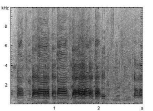 Hausgans | Anser anser f. domestica - Ruf