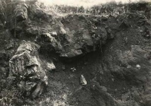 Vogtland. Graniteinschlüsse im Basalt bei Bad Brambach, Steinbrüche an der Straße Brambach-Schönberg, nördlich vom Schönberger Kreuz