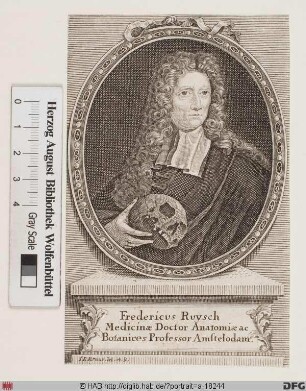 Bildnis Fredrik Ruysch
