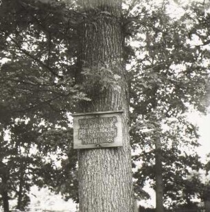 Gedenktafel zur 400. Wiederholung der Verkündigung der Thesen durch Martin Luther