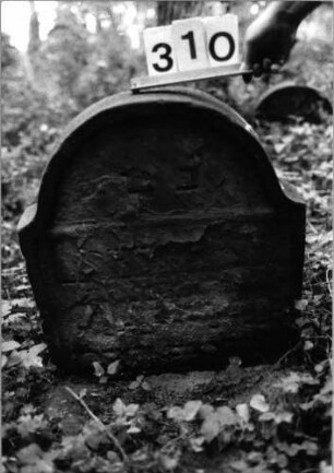Grabstein 310 (Index: 99803476) Material: Sandstein Zustand: völl. verwitt/eingesunk(befestigt)/Textve Maße HxBxT: 71x59x10 cm Beschreibung: Stele mit Karniesbogen und profiliertem Rand: Grabstein 310
