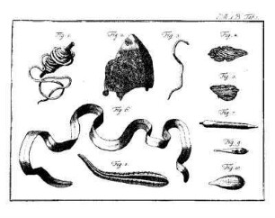 Tab. 1 [bis Tab. 19]