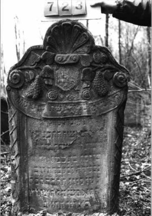 Grabstein 723 (Index: 99751661) Material: Sandstein Zustand: abgeblätt/verwitt/großer Textverlust Maße HxBxT: 125x71x14 cm Beschreibung: Stele, in Voluten auslaufender Rundbogenabschluß Symbolik: Trauben, Blätter, Blüten, Muschel, Wappenschild, Schriftband, Voluten, Rauten: Grabstein 723