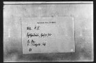 Eitel Friedrich, Graf von Zollern, königlicher Kämmerer, quittiert der Stadt Reutlingen 100 fl. an der letzten St. Martins Tag fällig gewesenen Stadtsteuer.