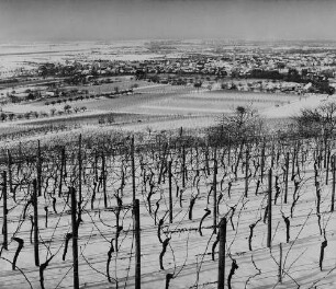 Archivfotografie "bergstrasse_grosssachsen_7039"