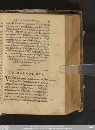 De Marmoribus.