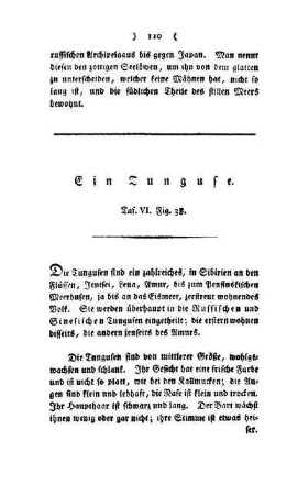 ¬Ein¬ Tunguse : Taf. VI, Fig. 38