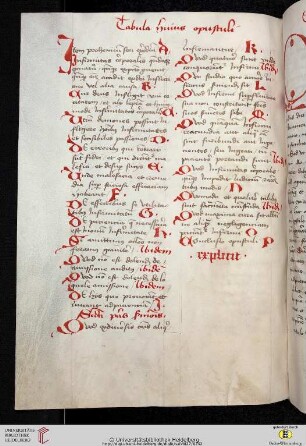 Petrus Stoss: Speculum infirmorum