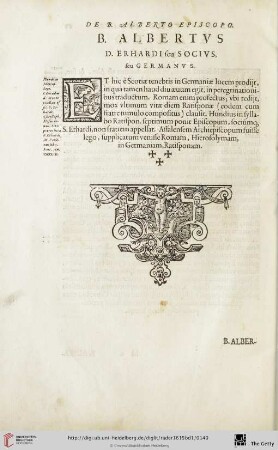 B. Albertus