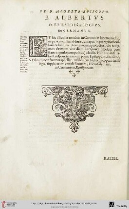 B. Albertus