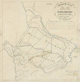 Original-Plan über den Domaenen-Wald Abtsmuhr im Oberbrucher Bann