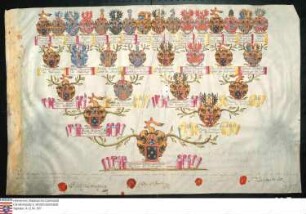 Ahnenprobe des Carl Ferdinand v. Sickingen. - ausgefertigt 1735 August 16, Pergament