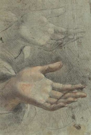 Zwei Handstudien