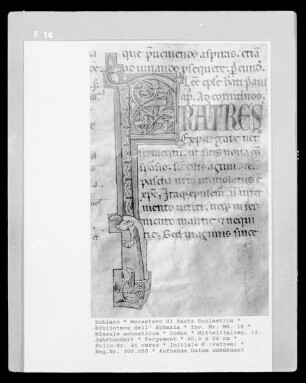 Missale monasticum — Initiale F (ratres), Folio 81 verso