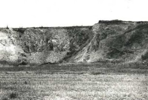 Kellerbergbruch bei Riesa-Canitz. Knotenschiefer, vorspringender Lamprophyrgang und dunkle Tonschiefer, wechsellagernd mit quarzitischer Grauwacke (Kulm)
