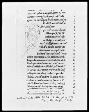 Augustinus, Enarrationes in Psalmos 1-50 — Initiale P, Folio 81 recto