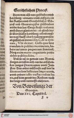 XVI. Capittel: Von Beweisung der Gezeugen