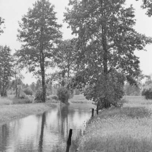Landschaftsbild. Trotzkefließ in Leipe. : Wobraz krajiny. Groble w Lipjem.