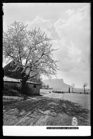 Sächsische Schweiz, Blick auf Lilienstein von Weißig