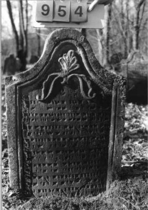 Grabstein 954 (Index: 99753139) Material: Sandstein Zustand: gut, Stele eingesunken Maße HxBxT: 95x62x9 cm Beschreibung: Stele, Eselsrückenabschluß, Schriftfeld eingetieft Symbolik: Ranken, Blätter: Grabstein 954