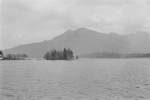 Insel im See : Kleine Insel im Vierwaldstättersee.