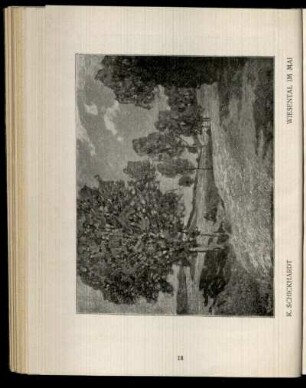 Wiesental im Mai / K. Schickhardt