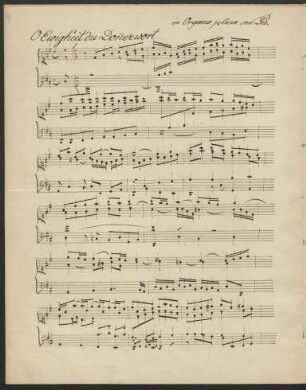 O Ewigkeit du Donnerwort; org; D-Dur; Krebs-WV 542