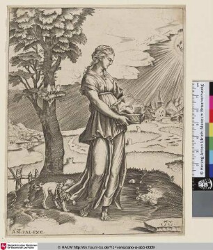 [Die Sibylle von Cumae]
