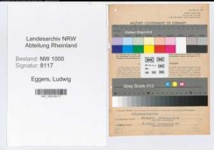 Entnazifizierung Ludwig Eggers, geb. 03.07.1907 (Steuerberater)