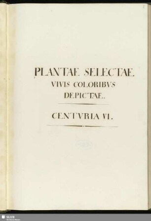 6: Plantae selectae vivis coloribus depictae. Band 6 - Mscr.Dresd.App.3413,Bd.6