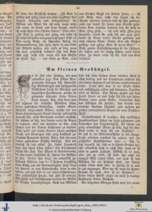 Am kleinen Grabhügel.
