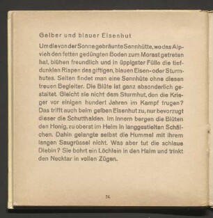 Gelber und blauer Eisenhut