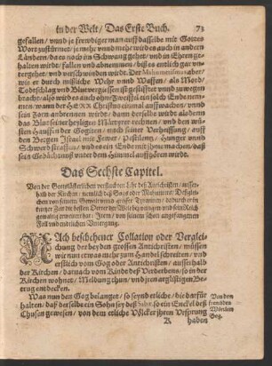 Das Sechste Capitel. Von der gottlästerlichen verfluchten Lehr des Antichristen ...
