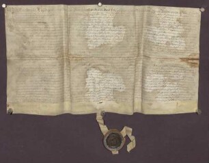 Erblehenrevers gegenüber der kurpfälzischen Kirchengüter- und Gefällverwaltung wegen Gütern in der Gemarkung von Plankstadt.