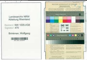 Entnazifizierung Wolfgang Brinkman , geb. 24.09.1890 (Regierungsrat (dienstunfaehig))