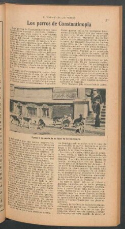 Los perros de Constantinopla : El paraiso de los perros