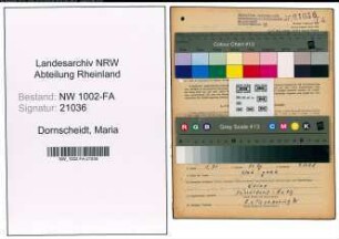 Entnazifizierung Maria Dornscheidt, geb. 23.06.1914 (Verkaeuferin)