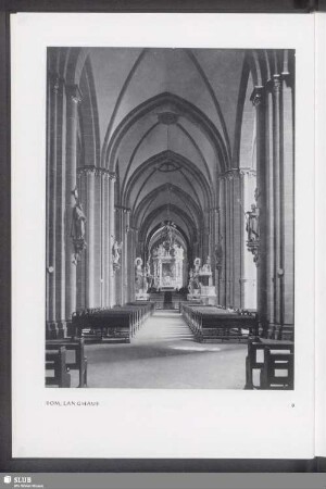 Dom, Langhaus
