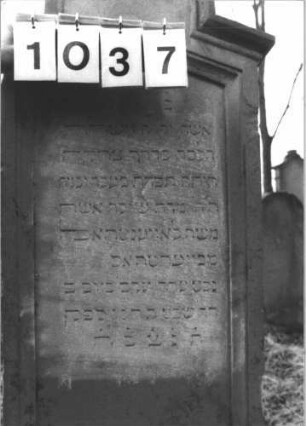 Grabstein 1037 (Detailaufnahme 2)