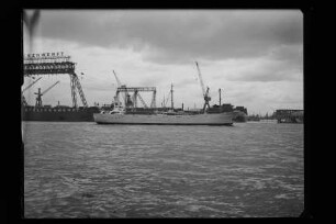 Nordstern (1955), Nordstern Reederei GmbH, Hamburg