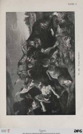 Tafel I-XIII