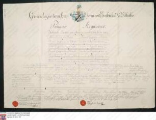 Stammfafel der Freiherrn von Greiffenclau zu Vollraths, beglaubigt 1790