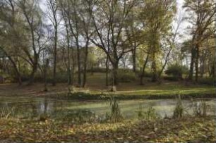 Neukünkendorf, Angermünde, Lindenhof