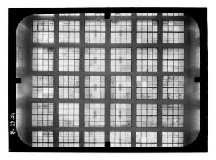 Berlin-Mitte, Gartenstraße 5. Stadtbad Mitte (1929-1930; C. Jelkmann, H. Tessenow). Decke in der Schwimmhalle