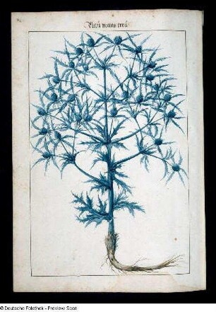 Blau mans treu, Seite 294