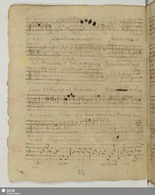Sulze, Georg: Initium sapientiae
