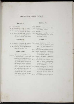 Spiegazione delle Tavole