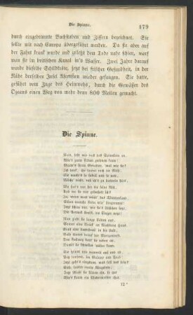 Die Spinne.