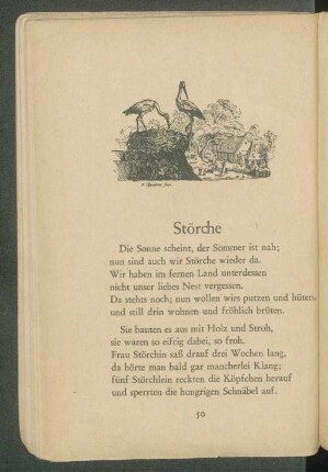 Störche